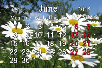 calendar for the June of 2015 on the background of summer camomiles