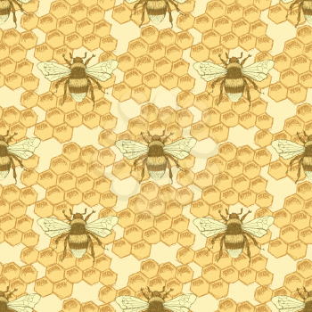 Sketch bee and honey cells in vintage style, vector seamless pattern

