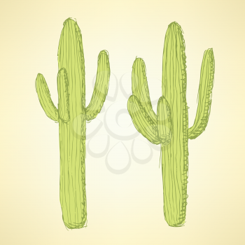 Sketch desert cactus in vintage style, vector