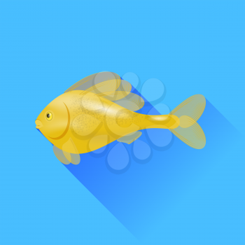Sea Cartoon Gold Fish Isolated on Blue Background.