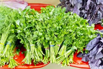 Sheaf of fresh green parsley and dill foliage in marketplace