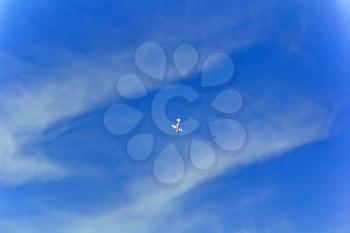 Photo of flying military airplane in blue sky with bird