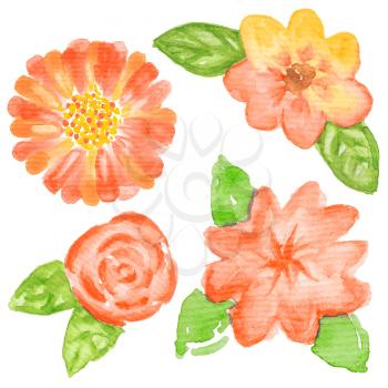 Hand painted watercolor flowers. Graphic design elements for baby shower and wedding invitations, birthday cards, corporate identity and business cards, web sites and scrapbooking. Hand painted illust