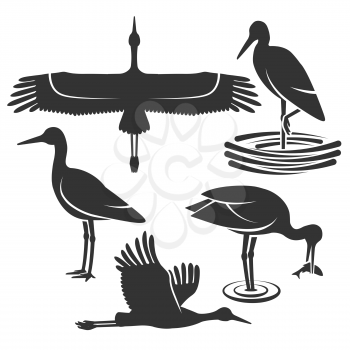 Set of black stork silhouettes. Vector Illustration