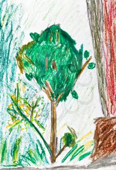 children drawing - green tree near house wall
