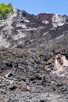 hardened lava flow on volcano slope of Etna, Sicily