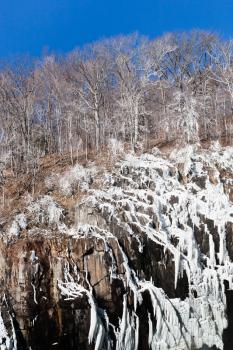 frozen trees on mount cliff in winter day
