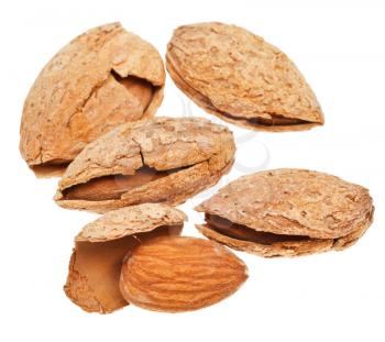 few fried almond nuts close up isolated on white background