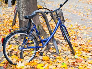 bicycle parked on street with fallen leaves in Berlin in autumn day