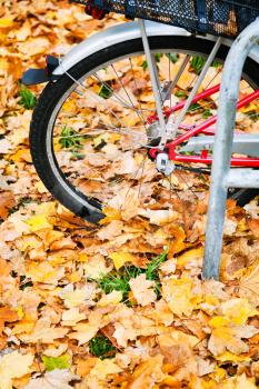 wheel of bicycle in autumn leaves in Berlin