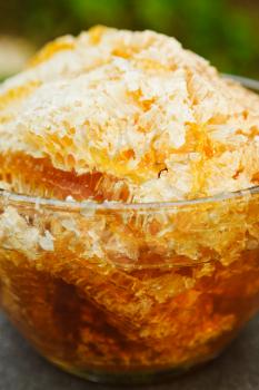 fresh honey in comb in glass bowl at table