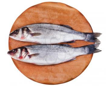 two raw seabass on wooden board isolated on white background