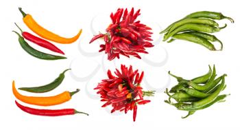 set of hot spicy pepper pods isolated on white background