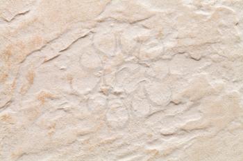 background from rough stucco texture