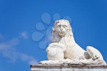 lion statue in antique Roman style outdoor