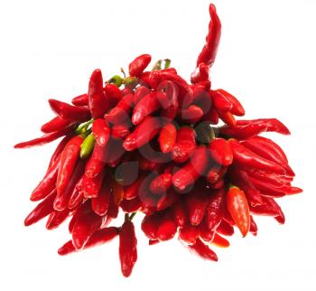 bunch of fresh small cayenne red pepper isolated on white background