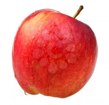 red wealthy apple isoalted on white background