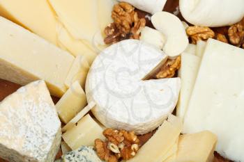 assortment of cheeses on wooden plate close up