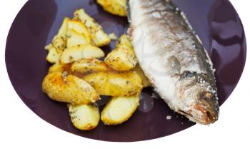 seabass fish baked in salt and fried potatoes on ceramic plate isolated on white background