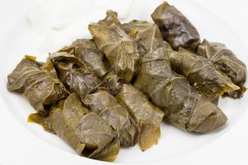 portion caucasus meal - dolma from vine leaves and mince on white plate close up
