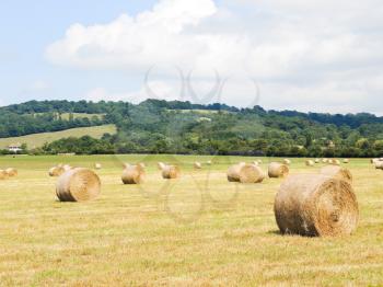 haystack rolls on harvested field in Normandy, France