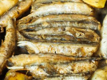 frying capelin fish in oil in frypan close up