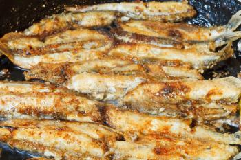 fried fish capelin on frypan close up