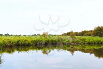 green coastline of Briere Marsh in Briere Regional Natural Park, France