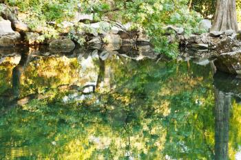 trees reflected in water of pond in Alupka garden, Crimea