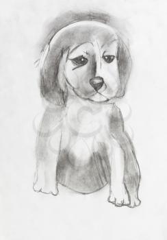 child's drawing - sad puppy by black pencil