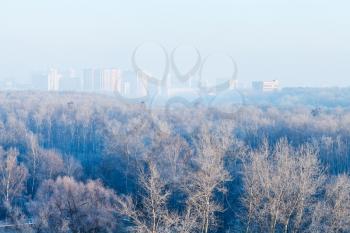 early morning over forest and town in cold winter