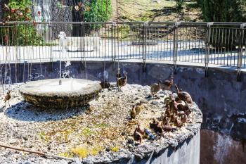 CATANIA, ITALY - APRIL 5, 2015: fountain in Bellini Garden in Catania, Sicily, Italy. The Bellini Garden is in via Etnea, the most beatiful part of Catania, and its surface is over 70000 square meters
