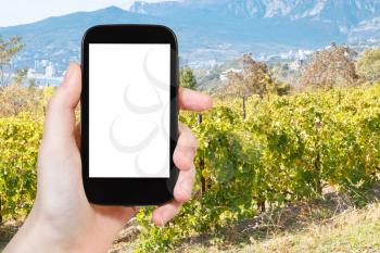 travel concept - tourist photograph vineyard in Massandra region of south coast of Crimea in autumn on tablet pc with cut out screen with blank place for advertising logo
