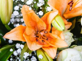 tiger lily close up in a nosegay of flowers