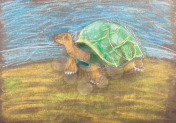 children drawing - turtle by dry pastel on brown paper