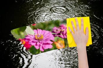 weather concept - hand deletes rain puddle by yellow cloth from image and meadow with pink flowers is appearing