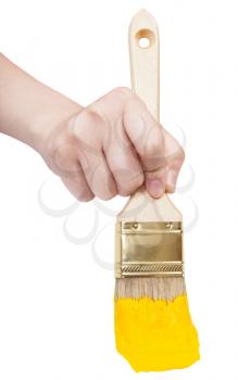 front view of painter hand with flat paintbrush painting in yellow paint isolated on white background