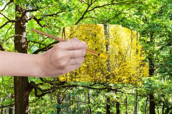 nature concept - seasons and weather changing: hand with paintbrush paints yellow autumn leaves in green summer forest
