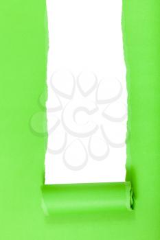 green rolled-up torn paper on isolated white vertical background
