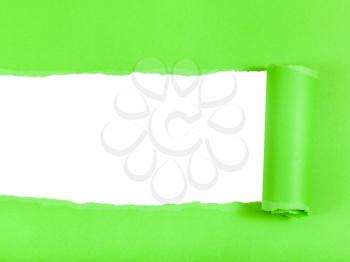 green rolled-up ripped paper on white isolated background