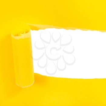 above view of yellow rolled-up torn paper isolated on white square background