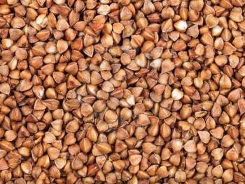 food background - raw brown buckwheat grain