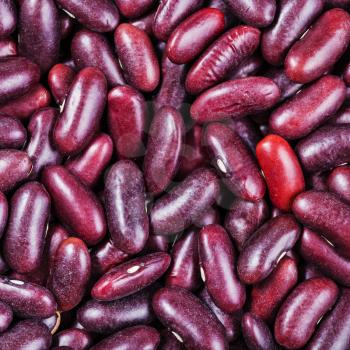 square food background - raw dark red kidney beans close up