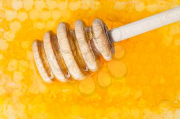 wooden honey dipper on surface of fresh honey close up