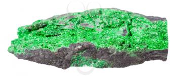 macro shooting of geological collection mineral - druse of uvarovite crystals on rock isolated on white background