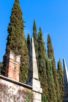 travel to Italy - fence of giusti garden in Verona city in spring