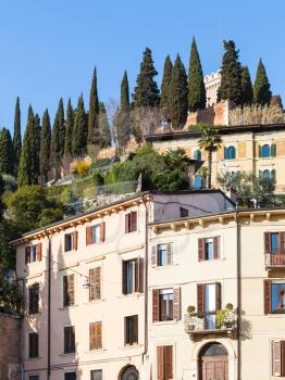 travel to Italy - urban houses on street Via Redentore and hill with Castel San Pietro in Verona city in spring