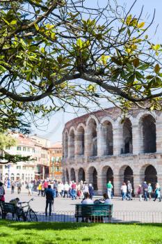 travel to Italy - view of green tree branch and roman Arena on background from garden on Piazza Bra in Verona in spring.