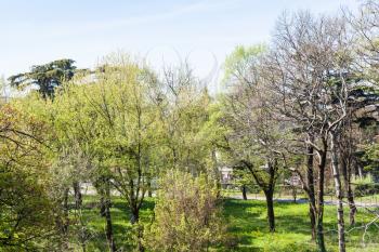 travel to Italy - green trees in urban park in in Verona city in spring