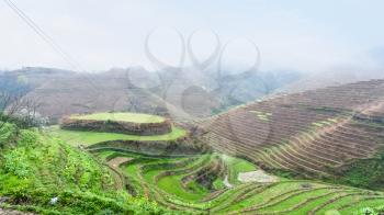 travel to China - above view of terraced rice gardens on hills from Tiantouzhai village in area Dazhai Longsheng Rice Terraces (Dragon's Backbone terrace, Longji Rice Terraces) country in spring
